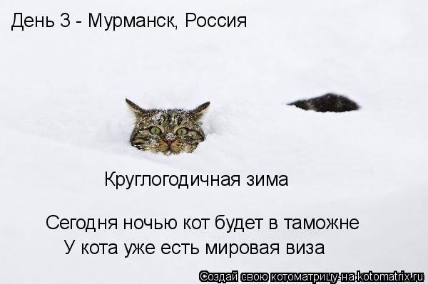 День 3 - Мурманск, Россия Круглогодичная зима Сегодня ночью кот будет в таможне У кота уже есть миров... Котоматрица: День 3 - Мурманск, Россия Круглогодичная зима Сегодня ночью кот будет в таможне У кота уже есть мировая виза