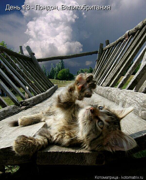 День 13 - Лондон, Великобритания... Котоматрица: День 13 - Лондон, Великобритания
