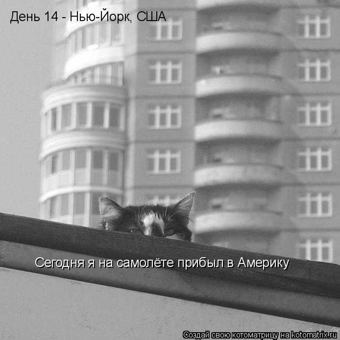 День 14 - Нью-Йорк, США Сегодня я на самолёте прибыл в Америку... Котоматрица: День 14 - Нью-Йорк, США Сегодня я на самолёте прибыл в Америку
