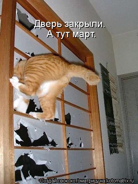 Дверь закрыли. А тут март.... Котоматрица: Дверь закрыли. А тут март.