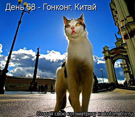 День 68 - Гонконг, Китай... Котоматрица: День 68 - Гонконг, Китай