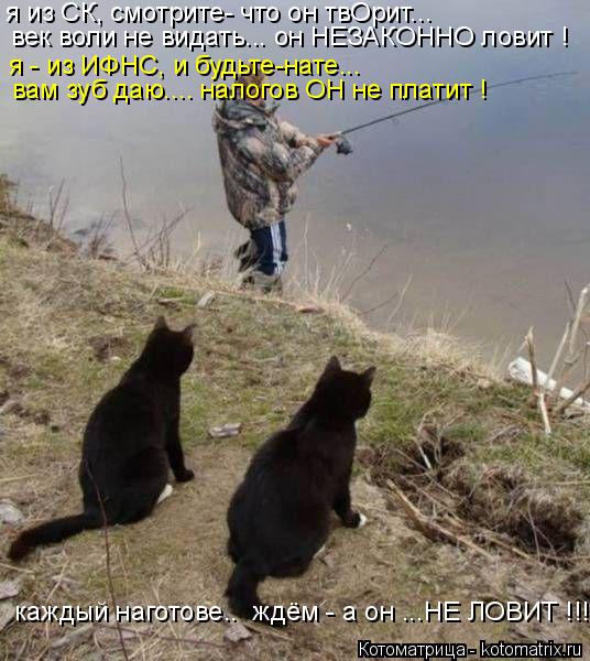 я из СК, смотрите- что он твОрит... век воли не видать... он НЕЗАКОННО ловит ! я - из ИФНС, и будьте-... Котоматрица: я из СК, смотрите- что он твОрит... век воли не видать... он НЕЗАКОННО ловит ! я - из ИФНС, и будьте-нате... вам зуб даю.... налогов ОН не платит ! каж