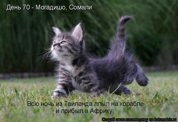 День 70 - Могадишо, Сомали Всю ночь из Таиланда плыл на корабле и прибыл в Африку... Котоматрица: День 70 - Могадишо, Сомали Всю ночь из Таиланда плыл на корабле и прибыл в Африку