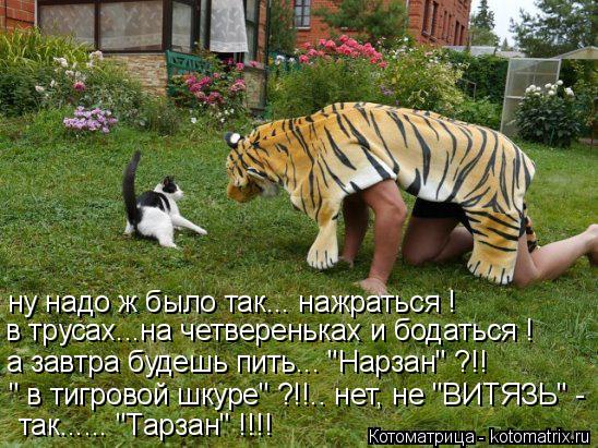ну надо ж было так... нажраться ! в трусах...на четвереньках и бодаться ! а завтра будешь пить... "На... Котоматрица: ну надо ж было так... нажраться ! в трусах...на четвереньках и бодаться ! а завтра будешь пить... "Нарзан" ?!! так...... "Тарзан" !!!! " в тигровой шкуре" ?