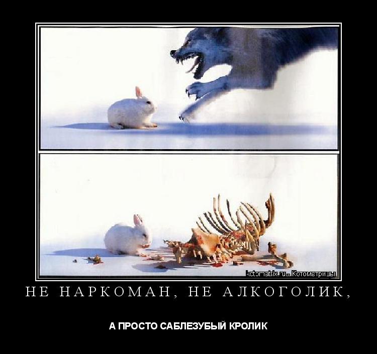 НЕ НАРКОМАН, НЕ АЛКОГОЛИК, А ПРОСТО САБЛЕЗУБЫЙ КРОЛИК... Котоматрица: НЕ НАРКОМАН, НЕ АЛКОГОЛИК, А ПРОСТО САБЛЕЗУБЫЙ КРОЛИК