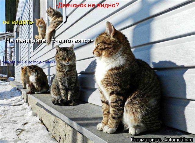 -Девчонок не видно? -Девчонок не видно? не видать- Не паникуйте...сча появятся- говорят они в другом ... Котоматрица: -Девчонок не видно? -Девчонок не видно? не видать- Не паникуйте...сча появятся- говорят они в другом районе..