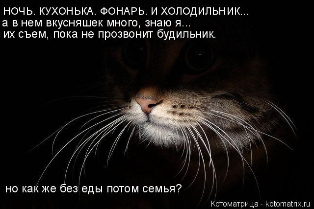 НОЧЬ. КУХОНЬКА. ФОНАРЬ. И ХОЛОДИЛЬНИК... а в нем вкусняшек много, знаю я... их съем, пока не прозвони... Котоматрица: НОЧЬ. КУХОНЬКА. ФОНАРЬ. И ХОЛОДИЛЬНИК... а в нем вкусняшек много, знаю я... их съем, пока не прозвонит будильник. но как же без еды потом семья?