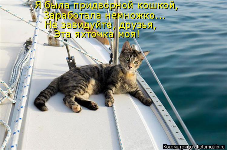 Я была придворной кошкой, Заработала немножко... Не завидуйте, друзья, Эта яхточка моя!... Котоматрица: Я была придворной кошкой, Заработала немножко... Не завидуйте, друзья, Эта яхточка моя!