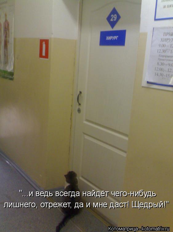 "...и ведь всегда найдёт чего-нибудь лишнего, отрежет, да и мне даст! Щедрый!"... Котоматрица: "...и ведь всегда найдёт чего-нибудь лишнего, отрежет, да и мне даст! Щедрый!"