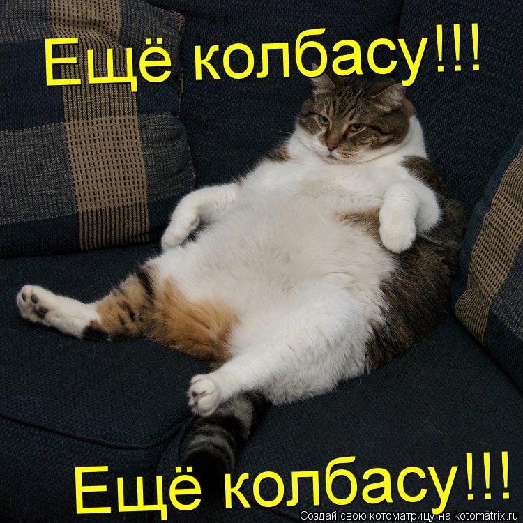 Ещё колбасу!!! Ещё колбасу!!!... Котоматрица: Ещё колбасу!!! Ещё колбасу!!!