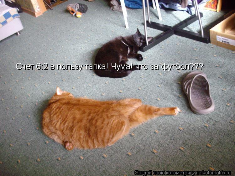 Счет 6:2 в пользу тапка! Чума! что за футбол???... Котоматрица: Счет 6:2 в пользу тапка! Чума! что за футбол???