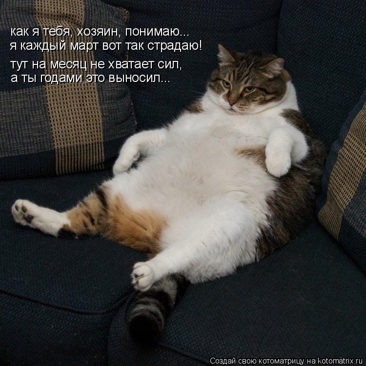 как я тебя, хозяин, понимаю... я каждый март вот так страдаю! тут на месяц не хватает сил, а ты годам... Котоматрица: как я тебя, хозяин, понимаю... я каждый март вот так страдаю! тут на месяц не хватает сил, а ты годами это выносил...