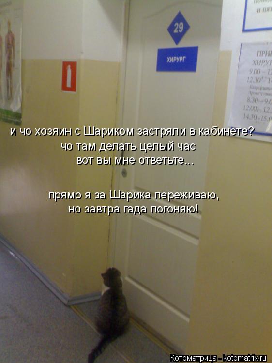 и чо хозяин с Шариком застряли в кабинете? чо там делать целый час вот вы мне ответьте... прямо я за... Котоматрица: и чо хозяин с Шариком застряли в кабинете? чо там делать целый час вот вы мне ответьте... прямо я за Шарика переживаю, но завтра гада погоняю