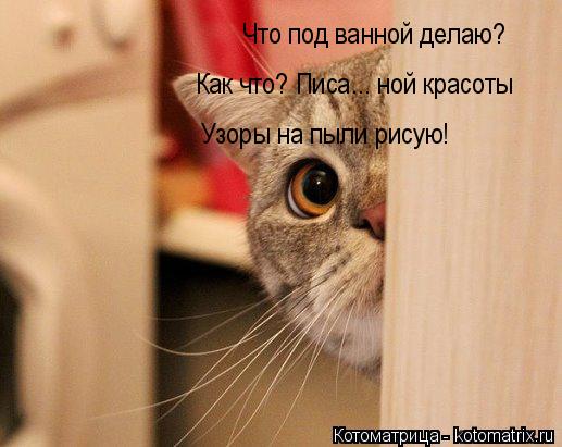Что под ванной делаю? Как что? Писа... ной красоты Узоры на пыли рисую!... Котоматрица: Что под ванной делаю? Как что? Писа... ной красоты Узоры на пыли рисую!