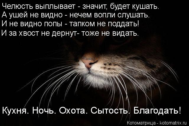 Челюсть выплывает - значит, будет кушать. А ушей не видно - нечем вопли слушать. И не видно попы - та... Котоматрица: Челюсть выплывает - значит, будет кушать. А ушей не видно - нечем вопли слушать. И не видно попы - тапком не поддать! И за хвост не дернут- тоже