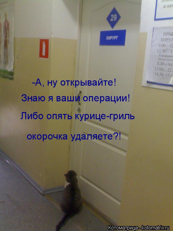 -А, ну открывайте! Знаю я ваши операции! Либо опять курице-гриль окорочка удаляете?!... Котоматрица: -А, ну открывайте! Знаю я ваши операции! Либо опять курице-гриль окорочка удаляете?!