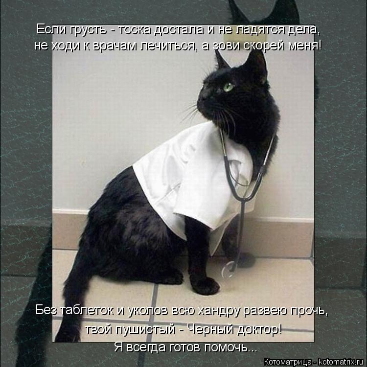 не ходи к врачам лечиться, а зови скорей меня! Если грусть - тоска достала и не ладятся дела, Без таб... Котоматрица: не ходи к врачам лечиться, а зови скорей меня! Если грусть - тоска достала и не ладятся дела, Без таблеток и уколов всю хандру развею прочь, тв
