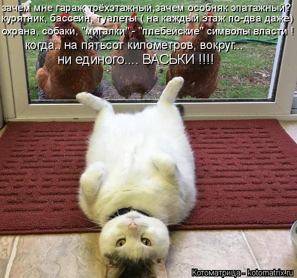 зачем мне гараж трёхэтажный,зачем особняк эпатажный? курятник, бассейн, туалеты ( на каждый этаж по-д... Котоматрица: зачем мне гараж трёхэтажный,зачем особняк эпатажный? курятник, бассейн, туалеты ( на каждый этаж по-два даже) охрана, собаки, "мигалки" - "плеб