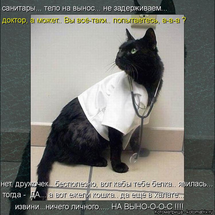 санитары... тело на вынос... не задерживаем... извини...ничего личного..... НА ВЫНО-О-О-С !!!! тогда ... Котоматрица: санитары... тело на вынос... не задерживаем... извини...ничего личного..... НА ВЫНО-О-О-С !!!! тогда - ДА... а вот ежели кошка.. да ещё в халате... доктор,