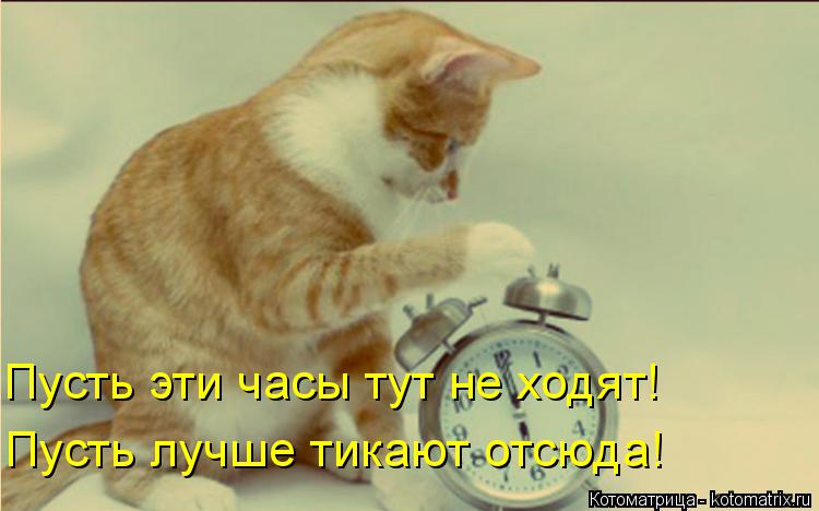Пусть эти часы тут не ходят! Пусть лучше тикают отсюда!... Котоматрица: Пусть эти часы тут не ходят! Пусть лучше тикают отсюда!