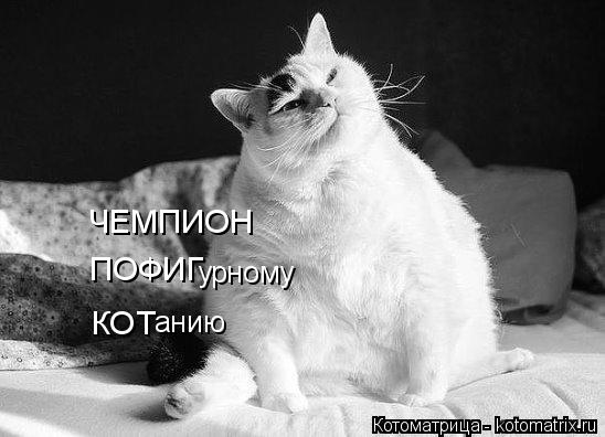 ЧЕМПИОН ПОФИГ урному КОТ анию... Котоматрица: ЧЕМПИОН ПОФИГ урному КОТ анию