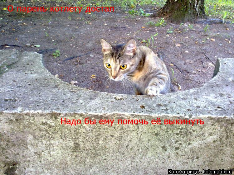 О парень котлету достал Надо бы ему помочь её выкинуть... Котоматрица: О парень котлету достал Надо бы ему помочь её выкинуть