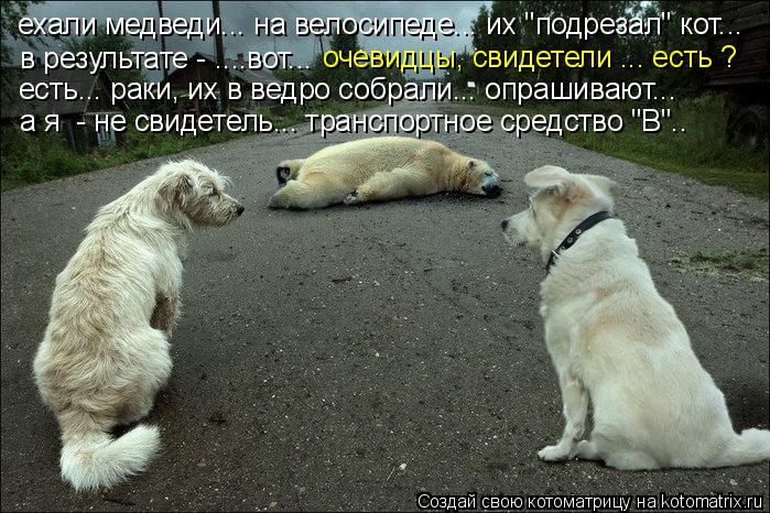 ехали медведи... на велосипеде... их "подрезал" кот... в результате - ....вот... очевидцы, свидетели ... Котоматрица: ехали медведи... на велосипеде... их "подрезал" кот... в результате - ....вот... очевидцы, свидетели ... есть ? есть... раки, их в ведро собрали... опраши