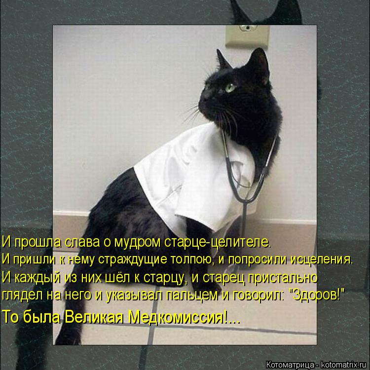 И пришли к нему страждущие толпою, и попросили исцеления. И прошла слава о мудром старце-целителе. И ... Котоматрица: И пришли к нему страждущие толпою, и попросили исцеления. И прошла слава о мудром старце-целителе. И каждый из них шёл к старцу, и старец прис