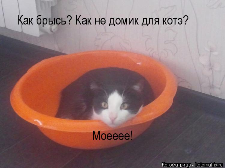 Как брысь? Как не домик для котэ? Моееее!... Котоматрица: Как брысь? Как не домик для котэ? Моееее!