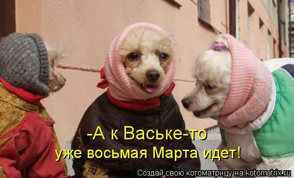 уже восьмая Марта идет! -А к Ваське-то... Котоматрица: уже восьмая Марта идет! -А к Ваське-то