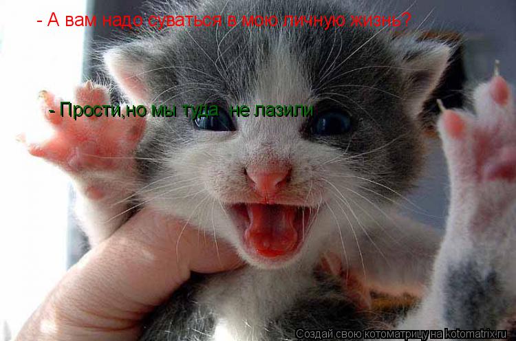 - А вам надо суваться в мою личную жизнь? - Прости,но мы туда не лазили... Котоматрица: - А вам надо суваться в мою личную жизнь? - Прости,но мы туда не лазили