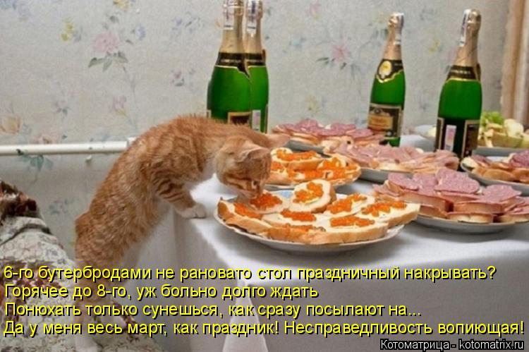 6-го бутербродами не рановато стол праздничный накрывать? Горячее до 8-го, уж больно долго ждать Поню... Котоматрица: 6-го бутербродами не рановато стол праздничный накрывать? Горячее до 8-го, уж больно долго ждать Понюхать только сунешься, как сразу посылаю