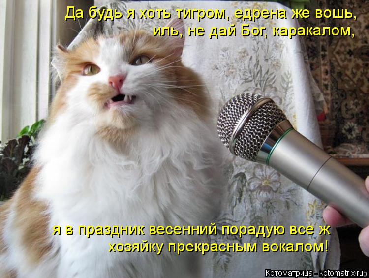 Да будь я хоть тигром, едрена же вошь, иль, не дай Бог, каракалом, я в праздник весенний порадую вс... Котоматрица: Да будь я хоть тигром, едрена же вошь, иль, не дай Бог, каракалом, я в праздник весенний порадую все ж хозяйку прекрасным вокалом!