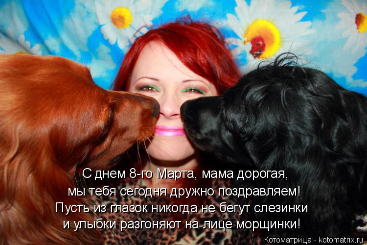 Пусть из глазок никогда не бегут слезинки и улыбки разгоняют на лице морщинки! С днем 8-го Марта, мам... Котоматрица: Пусть из глазок никогда не бегут слезинки и улыбки разгоняют на лице морщинки! С днем 8-го Марта, мама дорогая, мы тебя сегодня дружно поздра