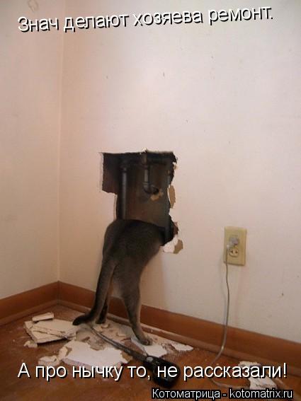 Знач делают хозяева ремонт. Знач делают хозяева ремонт. А про нычку то, не рассказали!... Котоматрица: Знач делают хозяева ремонт. Знач делают хозяева ремонт. А про нычку то, не рассказали!