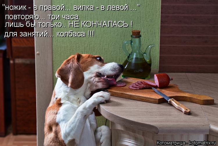 "ножик - в правой... вилка - в левой ..." повторяю... три часа, лишь бы только.. НЕ КОНЧАЛАСЬ ! для ... Котоматрица: "ножик - в правой... вилка - в левой ..." повторяю... три часа, лишь бы только.. НЕ КОНЧАЛАСЬ ! для занятий... колбаса !!!