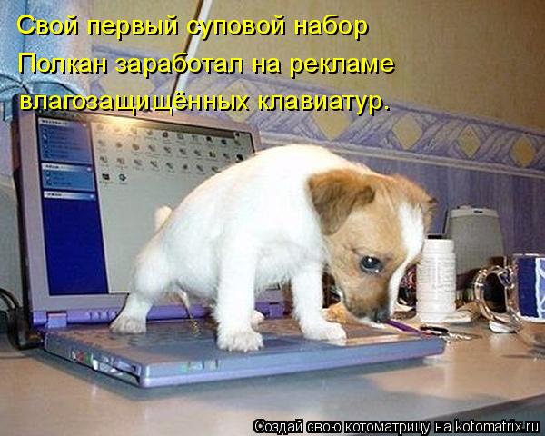 Свой первый суповой набор Полкан заработал на рекламе влагозащищённых клавиатур.... Котоматрица: Свой первый суповой набор Полкан заработал на рекламе влагозащищённых клавиатур.
