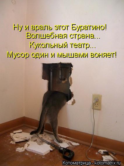 Ну и враль этот Буратино! Волшебная страна... Кукольный театр... Мусор один и мышами воняет!... Котоматрица: Ну и враль этот Буратино! Волшебная страна... Кукольный театр... Мусор один и мышами воняет!
