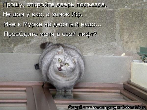 Прошу, откройте дверь подъезда, Не дом у вас, а замок Иф. Мне к Мурке на десятый надо... ПровОдите ме... Котоматрица: Прошу, откройте дверь подъезда, Не дом у вас, а замок Иф. Мне к Мурке на десятый надо... ПровОдите меня в свой лифт?