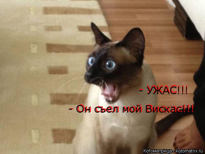 - УЖАС!!! - УЖАС!!! - Он съел мой Вискас!!! - Он съел мой Вискас!!!... Котоматрица: - УЖАС!!! - УЖАС!!! - Он съел мой Вискас!!! - Он съел мой Вискас!!!