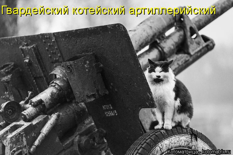 Гвардейский котейский артиллерийский... Котоматрица: Гвардейский котейский артиллерийский