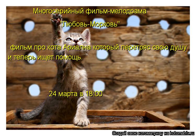 Многосерийный фильм-мелодрама "Любовь-Морковь" фильм про кота Ариална который перетряс свою душу 24 м... Котоматрица: Многосерийный фильм-мелодрама "Любовь-Морковь" фильм про кота Ариална который перетряс свою душу 24 марта в 18:00 и теперь ищет помощь.