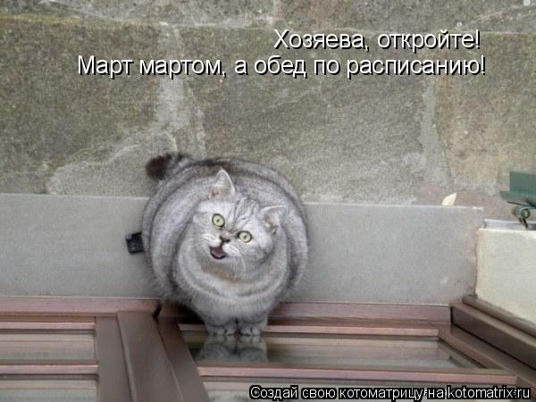 Хозяева, откройте! Март мартом, а обед по расписанию!... Котоматрица: Хозяева, откройте! Март мартом, а обед по расписанию!