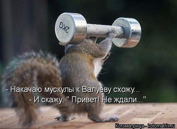 - Накачаю мускулы к Валуеву схожу... - И скажу: " Привет! Не ждали..."... Котоматрица: - Накачаю мускулы к Валуеву схожу... - И скажу: " Привет! Не ждали..."