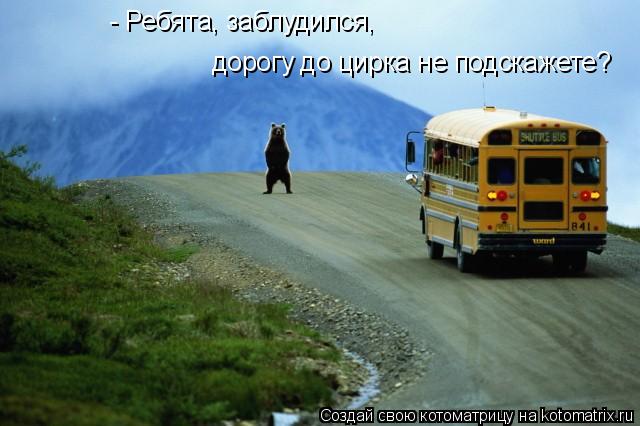 - Ребята, заблудился, дорогу до цирка не подскажете?... Котоматрица: - Ребята, заблудился, дорогу до цирка не подскажете?