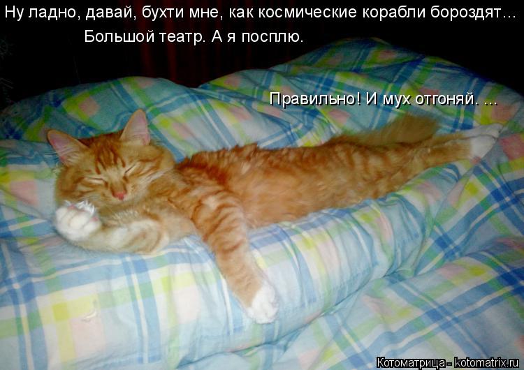 Ну ладно, давай, бухти мне, как космические корабли бороздят… Большой театр. А я посплю. Правильно!... Котоматрица: Ну ладно, давай, бухти мне, как космические корабли бороздят… Большой театр. А я посплю. Правильно! И мух отгоняй. ...