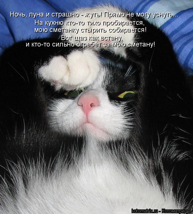 Ночь, луна и страшно - жуть! Прямо не могу уснуть... На кухню кто-то тихо пробирается, мою сметанку с... Котоматрица: Ночь, луна и страшно - жуть! Прямо не могу уснуть... На кухню кто-то тихо пробирается, мою сметанку стырить собирается! Вот щаз как встану, и кт