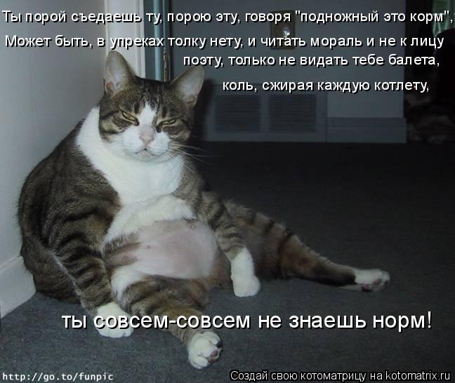 Ты порой съедаешь ту, порою эту, говоря "подножный это корм", Может быть, в упреках толку нету, и чи... Котоматрица: Ты порой съедаешь ту, порою эту, говоря "подножный это корм", Может быть, в упреках толку нету, и читать мораль и не к лицу поэту, только не ви