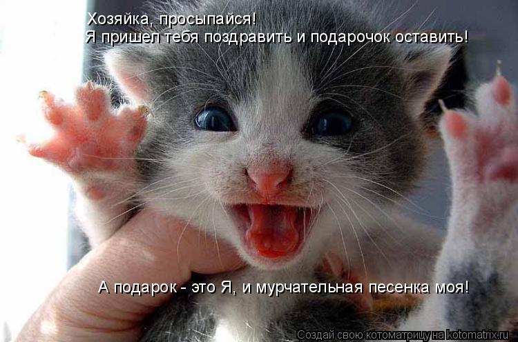 Хозяйка, просыпайся! Я пришел тебя поздравить и подарочок оставить! А подарок - это Я, и мурчательна... Котоматрица: Хозяйка, просыпайся! Я пришел тебя поздравить и подарочок оставить! А подарок - это Я, и мурчательная песенка моя!