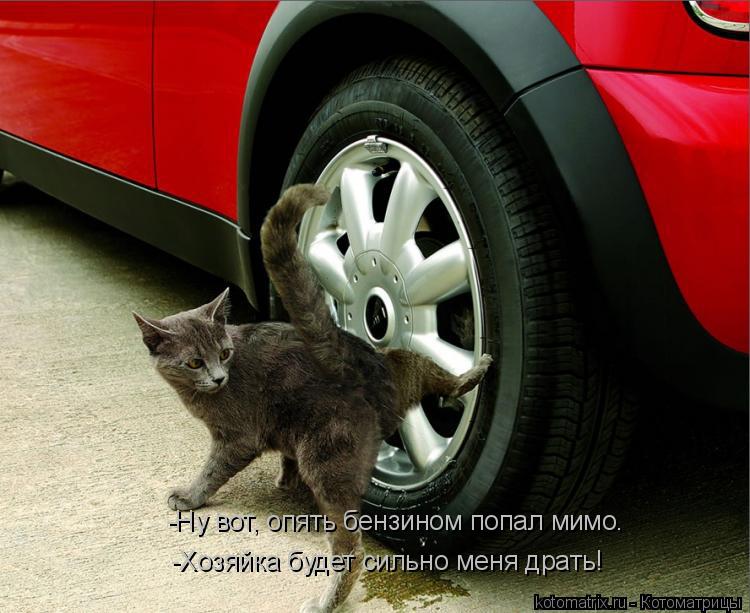 -Хозяйка будет сильно меня драть! -Ну вот, опять бензином попал мимо.... Котоматрица: -Хозяйка будет сильно меня драть! -Ну вот, опять бензином попал мимо.